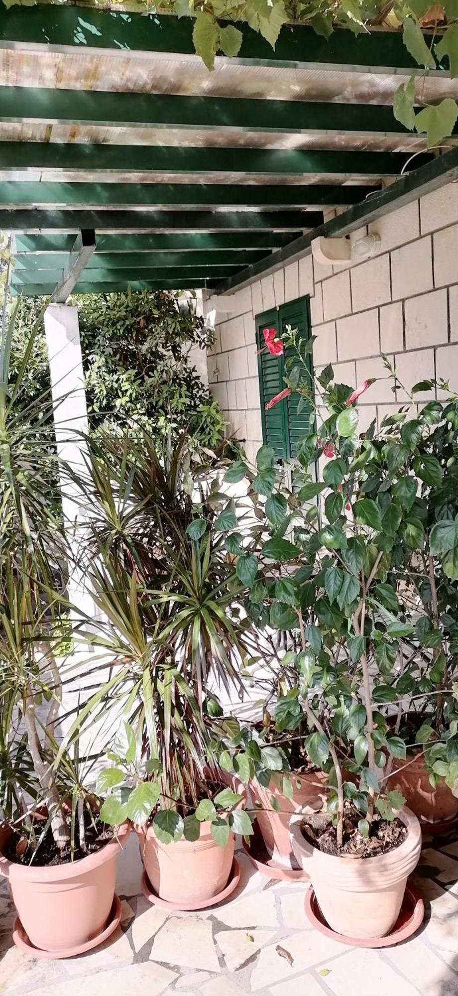 Apartments Fani Kanun 波尔 外观 照片